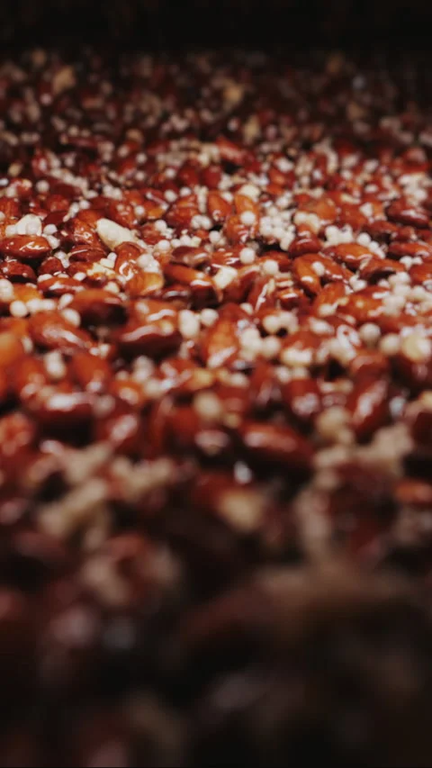 A layer of nuts moves along a conveyor at a confectionery factory. Stock Footage 293658916