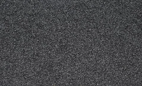 A layer of onion seeds as a background. Фото