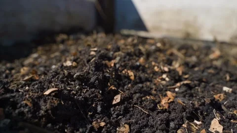 Layer of organic humus at bottom of compost pile close-up Видео 343239096