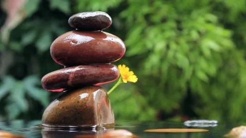 The layer of rocks with water drops on it, natural peace place in green garden a Stock-Footage 197067773