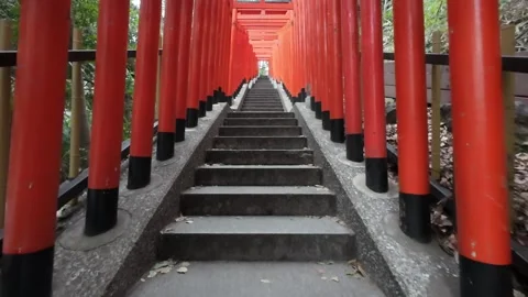 Layer of Torii Gate Stock Footage 274143851