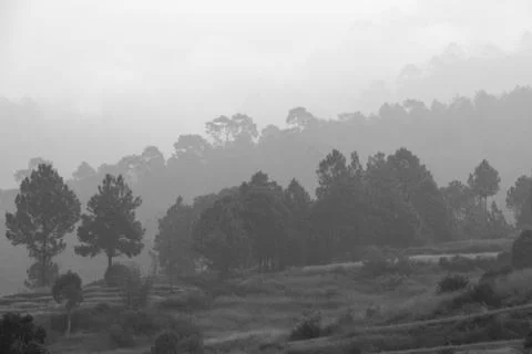 Layer of trees on mountains during misty morning in black and white, Bhutan Stock Photos