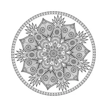 Layer upon layer of flowers and pointed foliage creates a graceful radial o.. Stock-Illustration