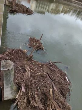 Layer of the waste at the bridge on river. River after flooding Stock Photos