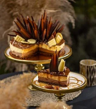 Layered chocolate cake Stock Photos