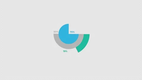 Layered Circular Chart Showing 25 50 and 75 Percent Stock Footage 339366582