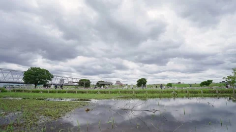Layered Clouds Above Iris Garden - Edogawa River, Tokyo, Japan Stock Footage 336520038