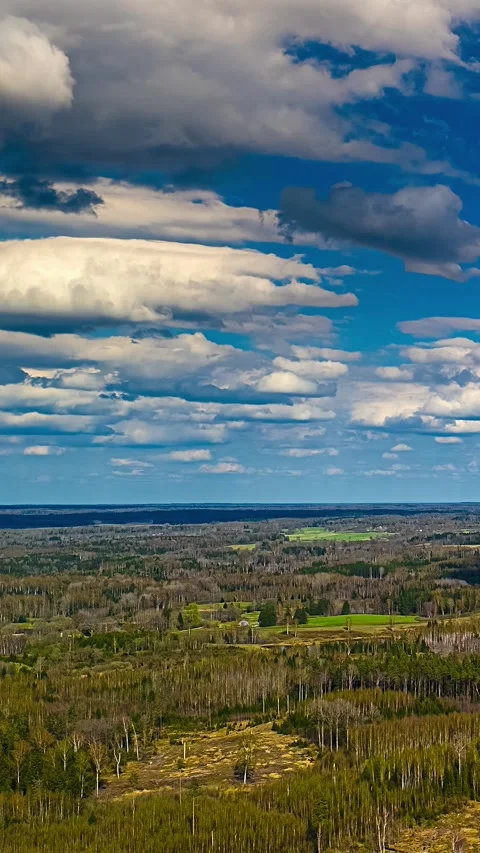 Layered clouds above tree stands and forest clearings, vertical aerial time 스톡 동영상 348344105