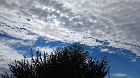 Layered Clouds and Blue Sky Over Trees 스톡 사진