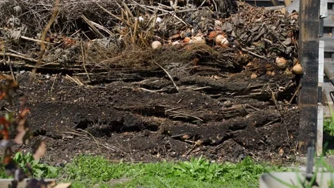 Layered compost pile with decomposing branches and organic waste close-up Stock Footage 337544734