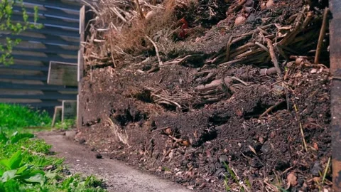 Layered compost pile with decomposing branches and organic waste close-up Stock Footage 337544742