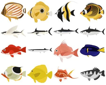 Layered editable vector illustration collection of fishes. Stock Illustration