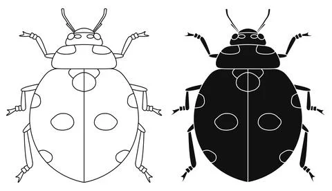Layered editable vector illustration outline of ladybug. Stock Illustration