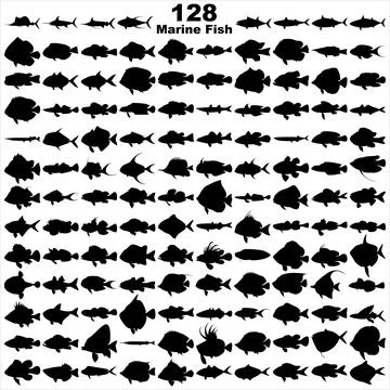 Layered editable vector illustration silhouette of 128 marine fishes. Stock Illustration