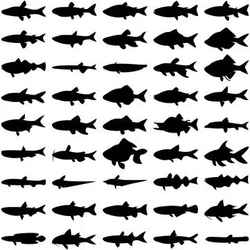 Layered editable vector illustration silhouette of 45 freshwater fishes. Stock Illustration