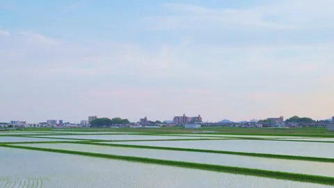 Layered horizontal patterns of flooded rice fields at twilight Stock Footage 337887444