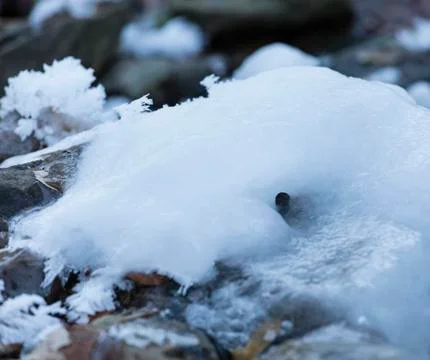 Layered ice structure on the Holderbach mountain river in the northern Eifel  Stock Photos