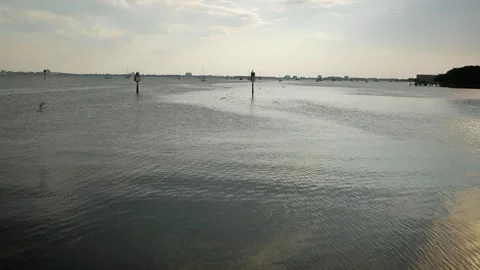 Layered landscape seagulls flying down into water over blue water to open water Stock Footage 281992826