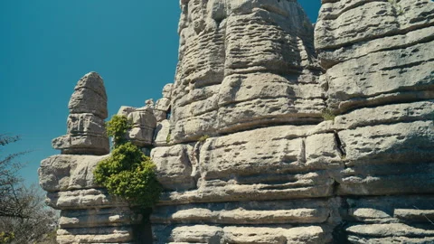 Layered limestone rock formations with green vegetation growing in rugged karst Stockbeeldmateriaal 333786573