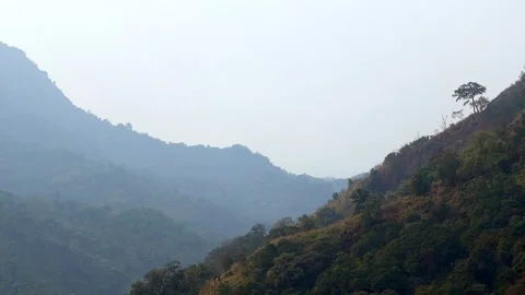 Layered Mountain Hills Covered in Forest Stock Footage 329840251