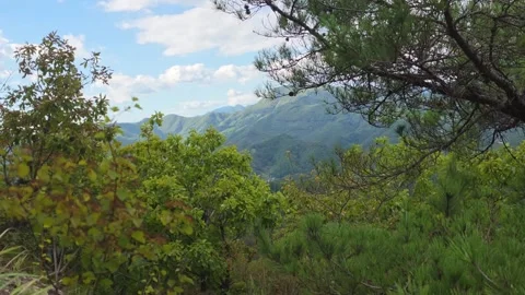 Layered Mountain Ridges Framed by Green Tree Branches Vídeo Stock 344863684