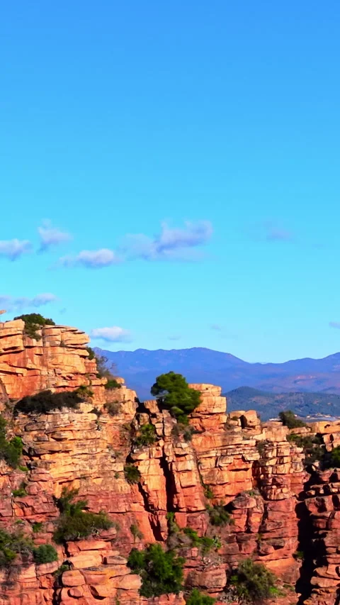 Layered red sandstone cliff with pine tree under blue sky, Spain Vertical video. Stock Footage 346842111