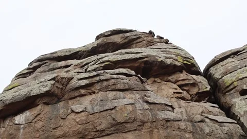 Layered Rock Formation with Moss and Natural Erosion Patterns Stock Footage 333548258