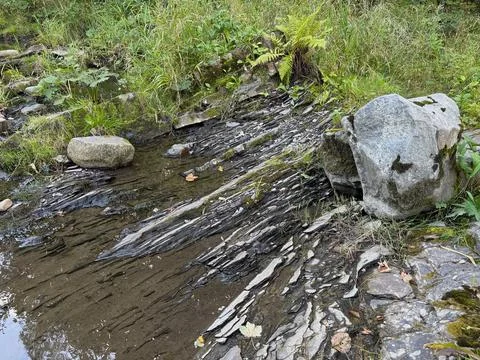 Layered rocks along a forest stream. Stock Photos