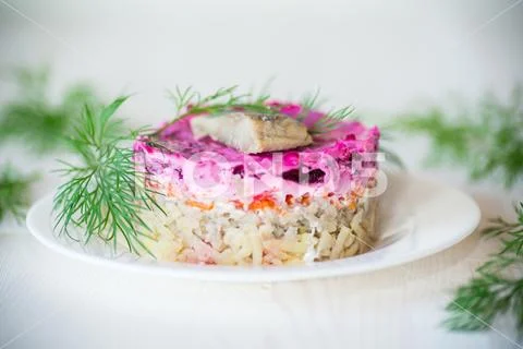 Layered salad of boiled vegetables with beets and herring Stock Photos