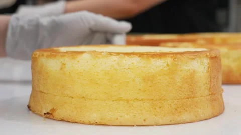 Layered Sponge Cake Base on Bakery Table Stock Footage 343020547