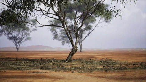 Layered stones and soft sky highlight enduring resilience of nature Stock Footage 343623919
