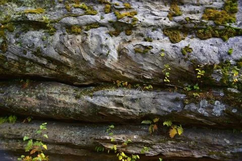 Layered structure of fine-crystalline quartz sandstone, from which the majest Stock Photos