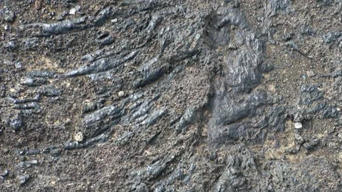 Layered Textures of Solidified Lava Flow in Harsh Iceland Environment 스톡 동영상 321062700