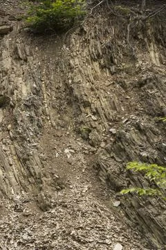 Layers of carpathian flysch Foto stock