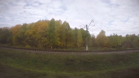 Layers of Dense Autumn Birch Trees in Siberian Wilderness; Old Bridge Over Water Stock Footage 81810204
