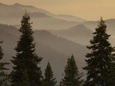LAYERS OF  DISTANT MOUNTAINS IN THE MIST OF SEQUOIA NATIONAL PARK Foto stock