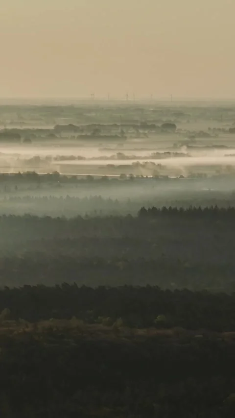 Layers of Fog Drift Over a Vast Pine Landscape at Dawn Stock Footage 336590654