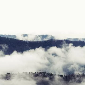 Layers of forest ridges emerging form fog on a late autumn day 스톡 사진