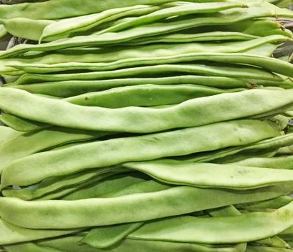Layers of Green Beans Stock Photos