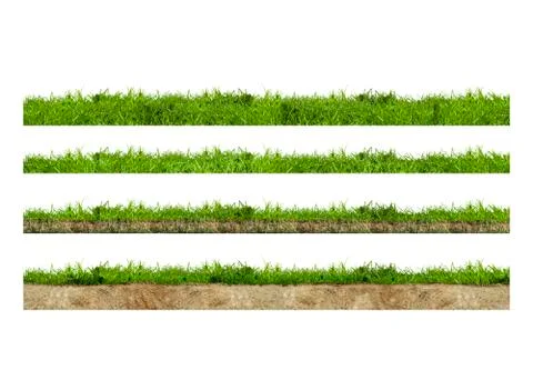 Layers of green grass section with soil isolated on white Foto stock