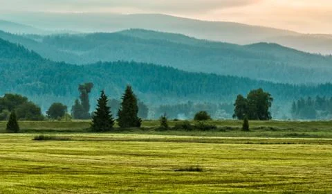 Layers of green mountain trees Foto stock