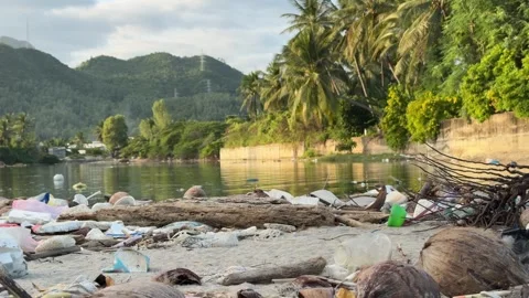 Layers of plastic and refuse cover wet sand near calm water, while natural Stock-Footage 326439963