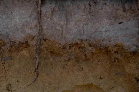 Layers of podzol soil Stock Photos