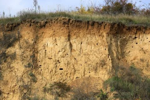 LAyers of soil Stock Photos