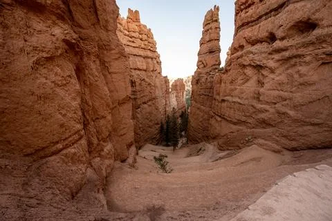 Layers of Switchbacks Down The Navajo Loop Trail Stock Photos