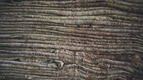Layers of unprocessed leathers Stock Footage 121927786