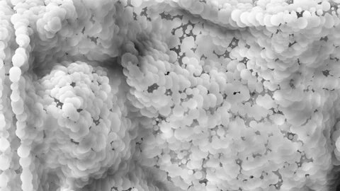 Layers of white matter in a section Stock Footage 81260852