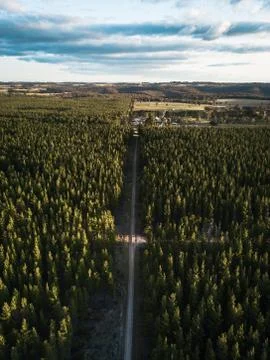 Layes of Pine and Cloud Stock Photos