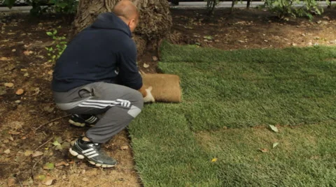 Laying artificial turf Stock Footage 41720038