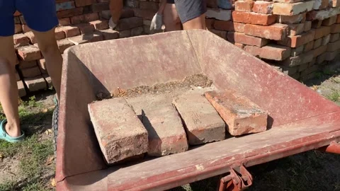 Laying bricks on a red wheelbarrow Stock Footage 316539221